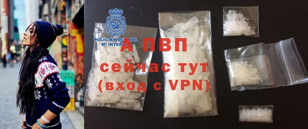 ешки Богданович