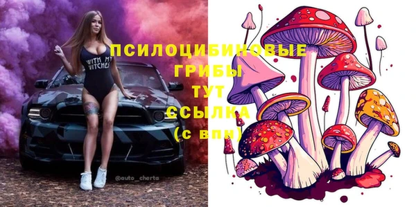 мдма Богородск