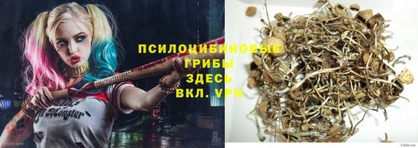 гашик Билибино